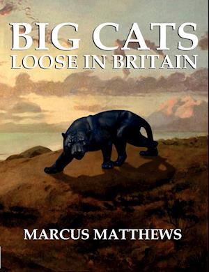 Big Cats Loose in Britain