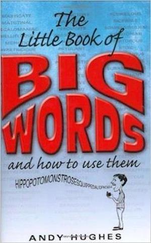 Little Book Of Big Words