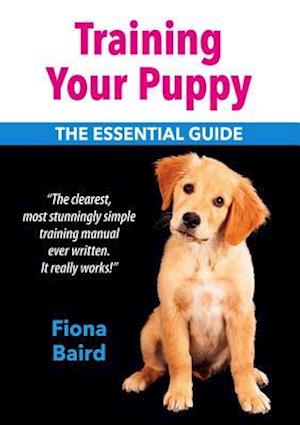 Training Your Puppy