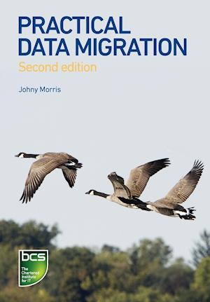 Practical Data Migration