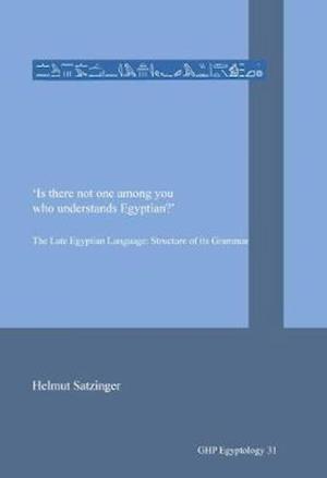 'is There Not One Among You Who Understands Egyptian?'