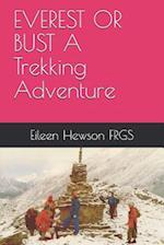 Everest or Bust a Trekking Adventure