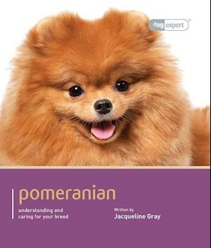 Pomeranian - Dog Expert