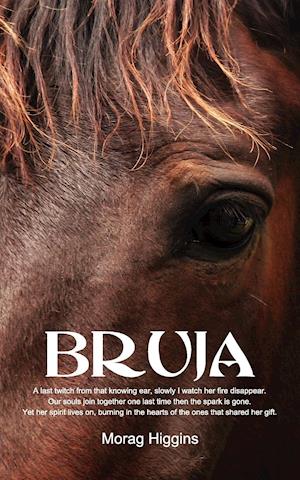 Bruja