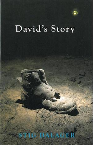 David's Story