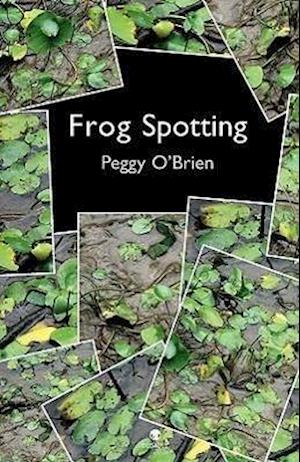 Frog Spotting