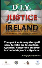 D.I.Y. Justice in Ireland - Prosecuting by Common Informer