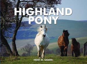 Spirit of the Highland Pony