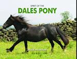 Spirit of the Dales Pony