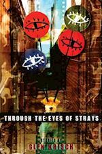 Through the Eyes of Strays