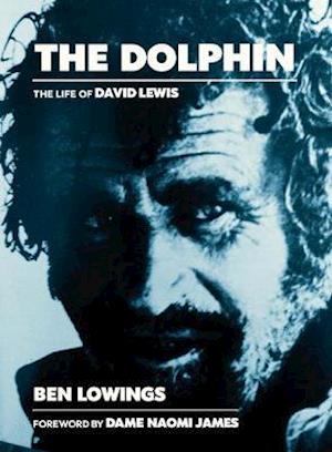 The The Dolphin