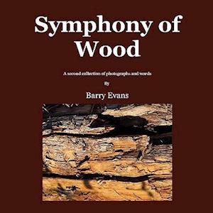 Symphony of Wood