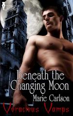 Beneath the Changing Moon