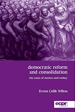 Democratic Reform and Consolidation