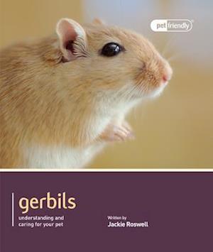 Gerbils - Pet Friendly