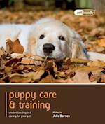 Puppy Training & Care - Pet Friendly