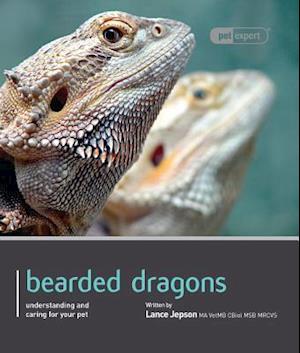 Bearded Dragon - Pet Expert