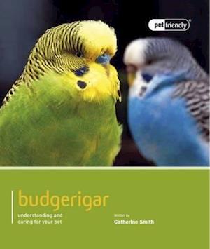 Budgeriegars - Pet Friendly