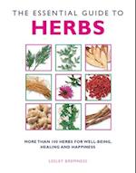 The Essential Guide To Herbs