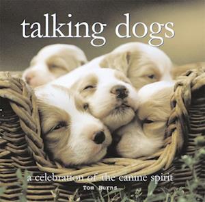 talking dogs