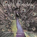 Bright Thoughts