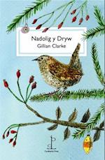 Nadolig y Dryw (The Christmas Wren)