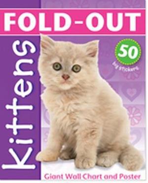 Fold-Out Poster Sticker Book: Kittens