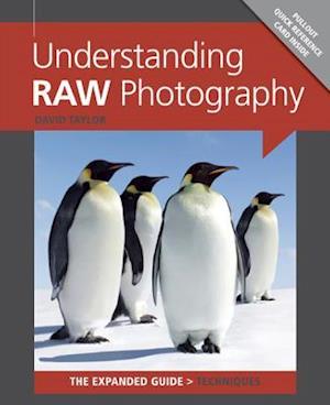 Understanding RAW Photography