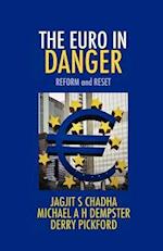 The Euro in Danger