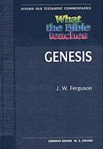 What the Bible Teaches - Genesis