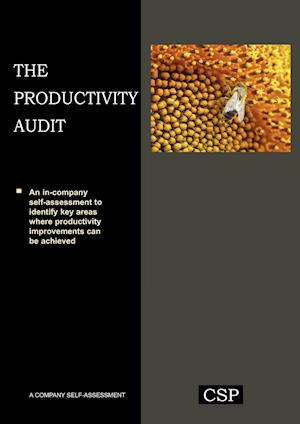 The Productivity Audit