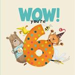 WOW! You're Six birthday book