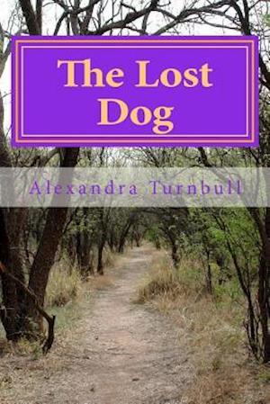 The Lost Dog