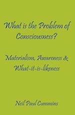 What Is the Problem of Consciousness?