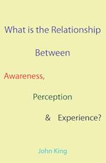 What Is the Relationship Between Awareness, Perception & Experience?