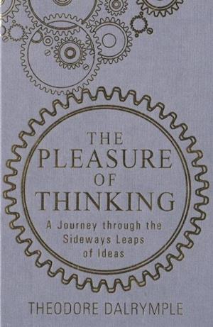 Pleasure of Thinking