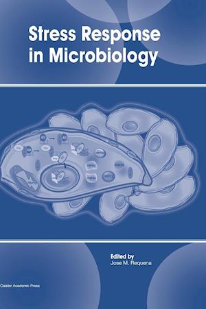 Stress Response in Microbiology