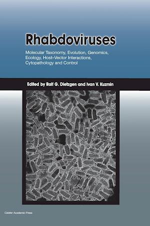 Rhabdoviruses