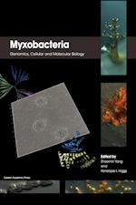Myxobacteria