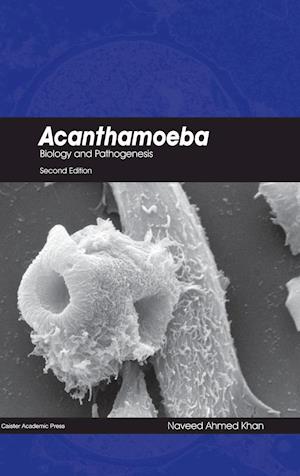 Acanthamoeba