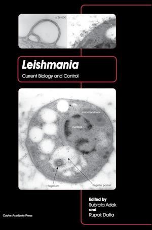 Leishmania