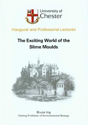 Exciting World of the Slime Moulds