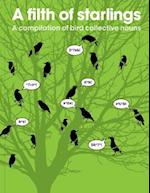 Filth of Starlings: A Compilation of Bird Collective Nouns