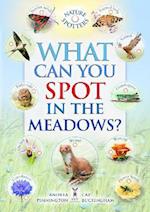 What Can You Spot in the Meadows?