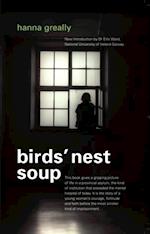 Bird's Nest Soup: Locked-up  in an Irish Psychiatric Hospital