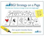 BGI Strategy On A Page