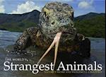 World's Strangest Animals