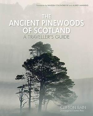 The Ancient Pinewoods of Scotland