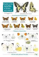 Guide to the butterflies of Britain and Ireland