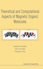 Theoretical And Computational Aspects Of Magnetic Organic Molecules
